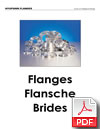 Jinan Hyupshin Flanges Co., Ltd
